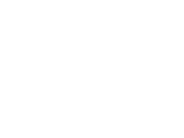 Stadl Krippe 8815-II
